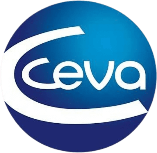 Ceva